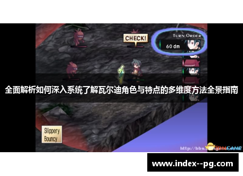 全面解析如何深入系统了解瓦尔迪角色与特点的多维度方法全景指南