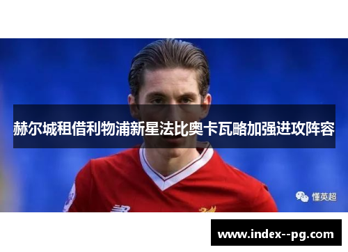 赫尔城租借利物浦新星法比奥卡瓦略加强进攻阵容